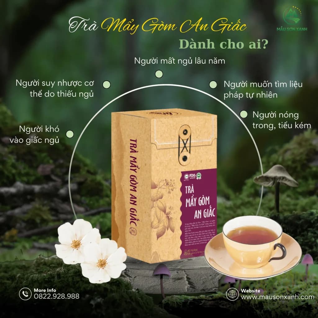 Trà Mẩy Gòm An Giấc